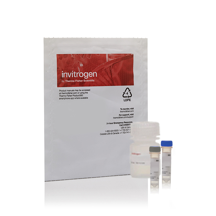 M30550 Measure-IT 巯基检测试剂盒 - Invitrogen
