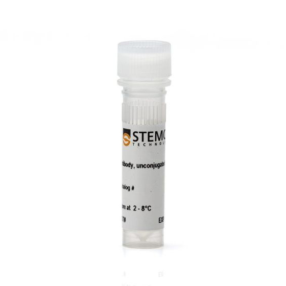 60091AD 抗人Nestin抗体，克隆10C2,100µg - STEMCELL