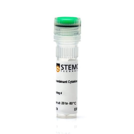 78038 人重组IL-22/白细胞介素22,50µg - STEMCELL