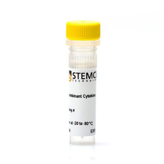 78023.1 重组人IGF-II/胰岛素样生长因子2,10µg - STEMCELL