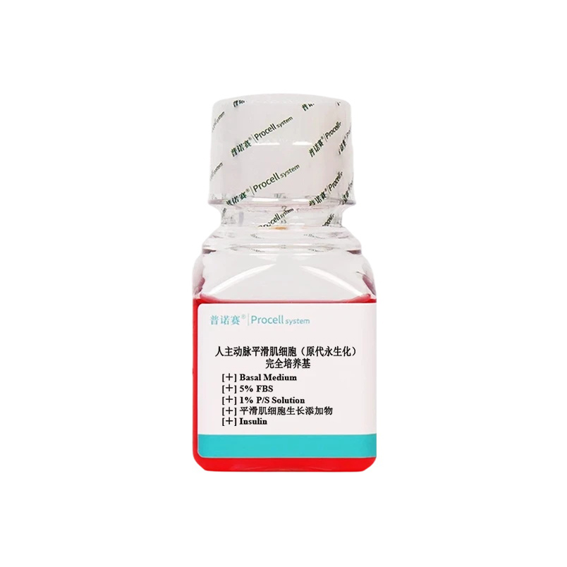 CM-H081Y 人主动脉平滑肌细胞（原代永生化）完全培养基 - Procell（普诺赛）
