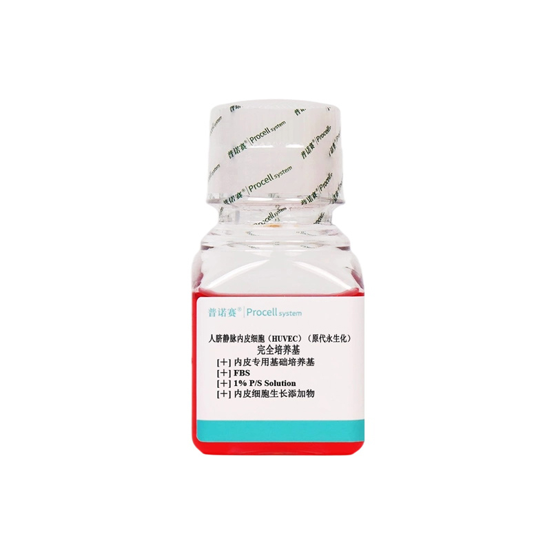 CM-H082Y 人脐静脉内皮细胞（HUVEC）（原代永生化）完全培养基 - Procell（普诺赛）