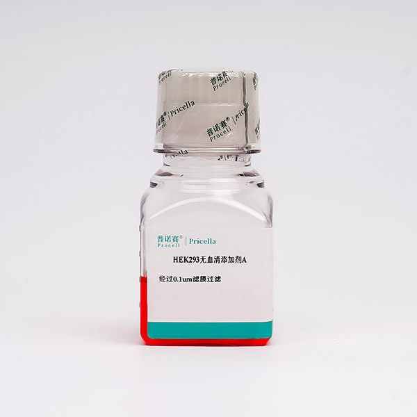 SF1002 HEK293无血清补料A - Procell（普诺赛）