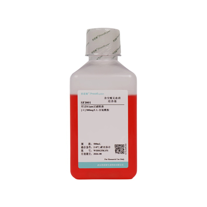 SF3001 杂交瘤无血清培养基 - Procell（普诺赛）