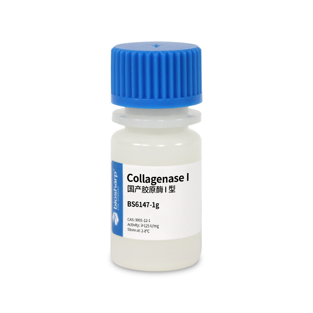 BS6147-1g 国产胶原酶I型Collagenase I - Biosharp/白鲨