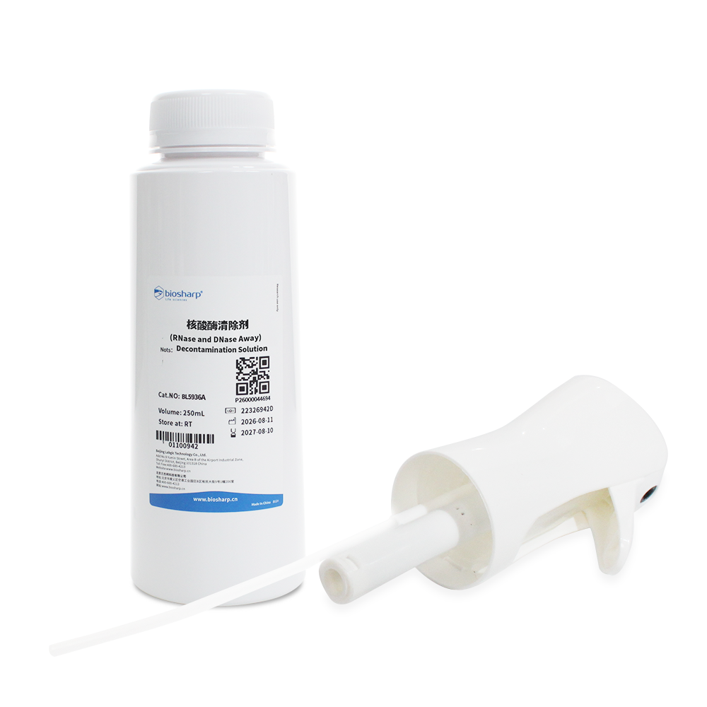 BL5936A 核酸酶清除剂(RNase and DNase Away) - Biosharp/白鲨