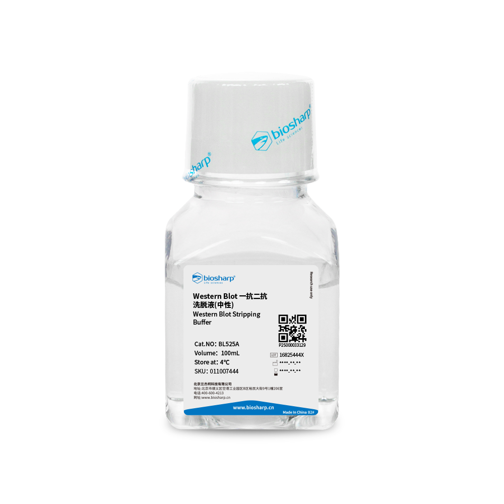 BL525A Western Blot一抗二抗洗脱液（中性） - Biosharp/白鲨