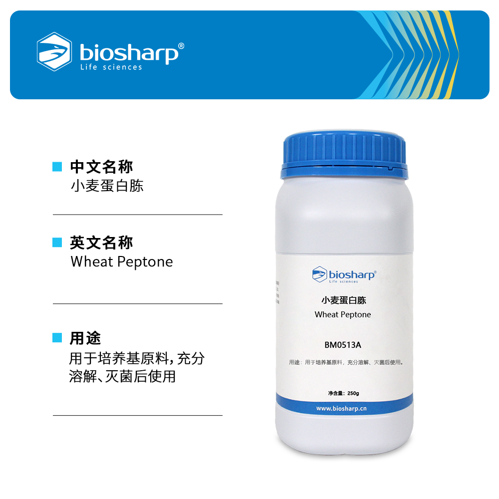 BM0513A 小麦蛋白胨 - Biosharp/白鲨