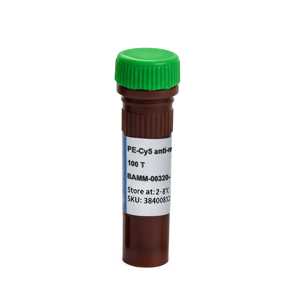 BAMM-00320-B PE-Cy5 anti-mouse CD8a抗体 - Biosharp/白鲨