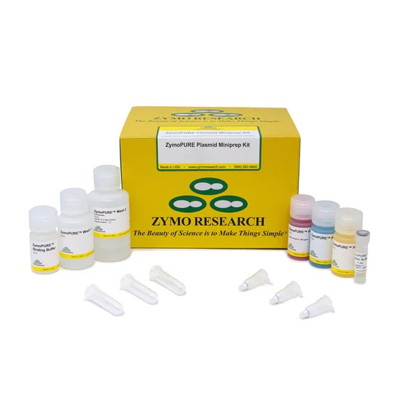 D4210 ZymoPURE Plasmid MiniPrep Kit (100 Preps)试剂盒 - ZYMO