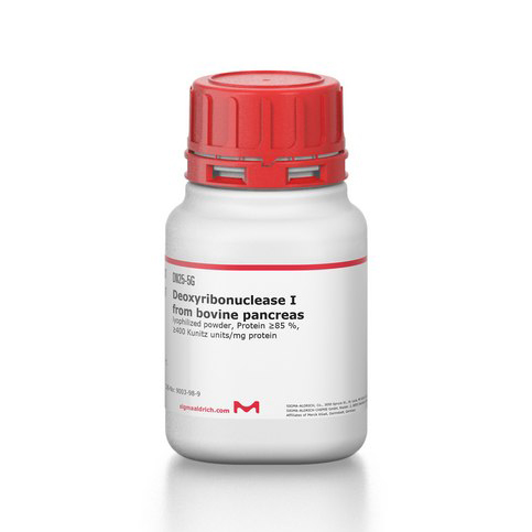 DN25-5G 脱氧核糖核酸酶 I 来源于牛胰腺 - Sigma-aldrich/西格玛