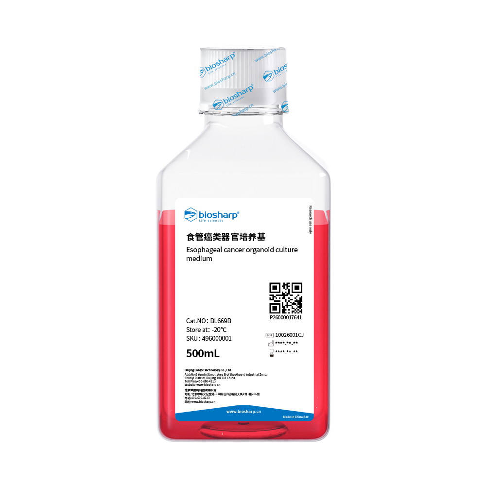 BL6691B 食管癌类器官培养基 - Biosharp/白鲨