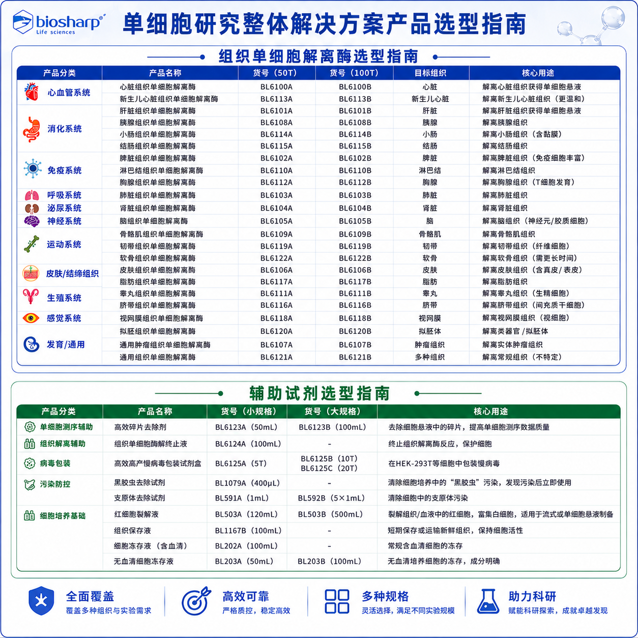 BL6108A 胰腺组织单细胞解离酶 - Biosharp/白鲨