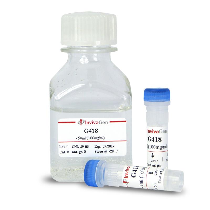 ant-gn-5 G418 (100 mg/ml solution)试剂