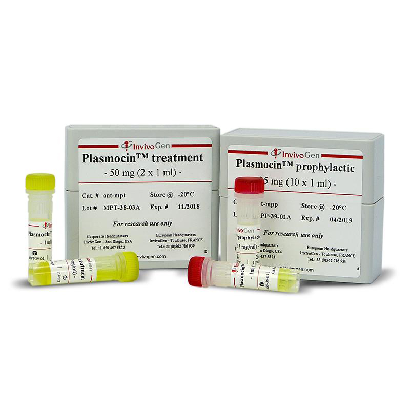ant-mpt Plasmocin treatment试剂