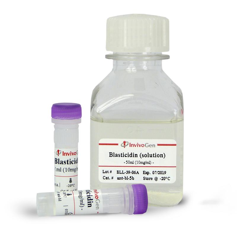 ant-bl-1 Blasticidin (solution)灭瘟素S溶液 - InvivoGen