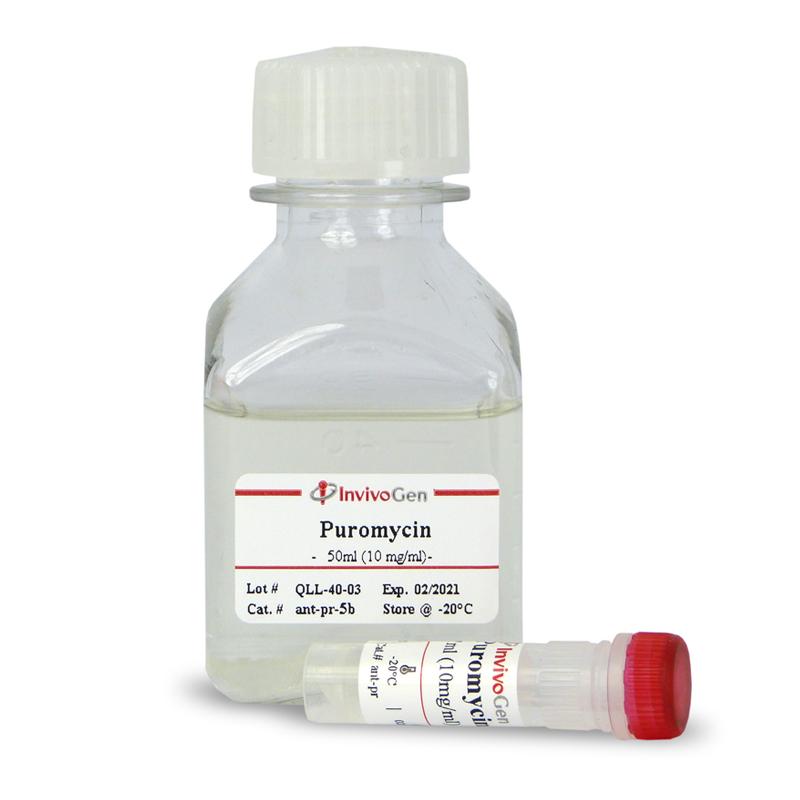 ant-pr-1 抗体Puromycin - InvivoGen