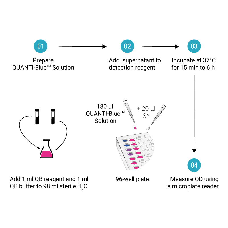 rep-qbs2 QUANTI-Blue Solution试剂 - InvivoGen