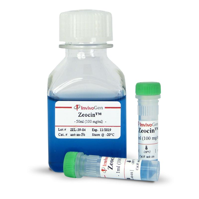 ant-zn-05 Zeocin (100 mg/ml solution)试剂 - InvivoGen