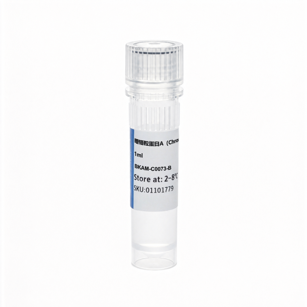 BKAM-C0073-B 嗜铬粒蛋白A (Chromogranin A) 抗体试剂 (免疫组织化学) - Biosharp/白鲨