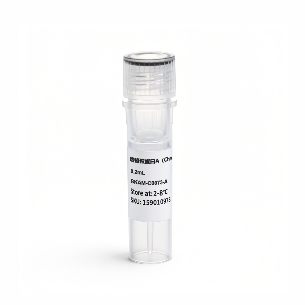 BKAM-C0073-A 嗜铬粒蛋白A (Chromogranin A) 抗体试剂 (免疫组织化学) - Biosharp/白鲨